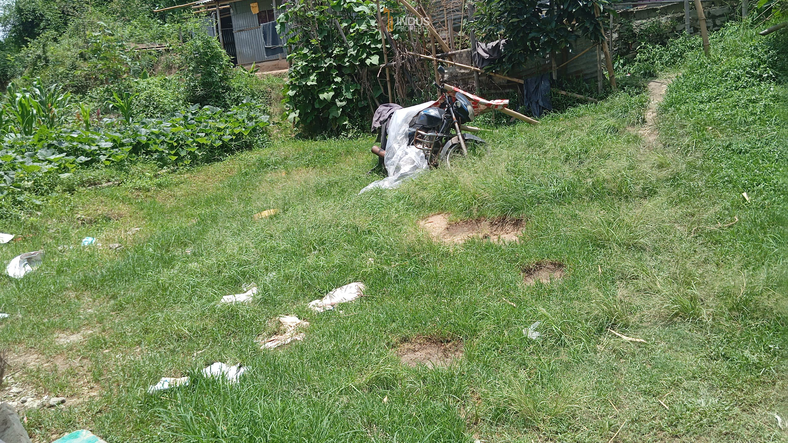 Picture of Kageshwari Manohara Municipality, Bagmati